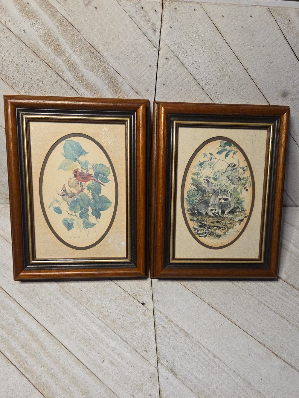 Vintage Set Of 2 Nature Prints In Wood Frames Cardinals And Racoons